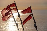 Sea view with red flags