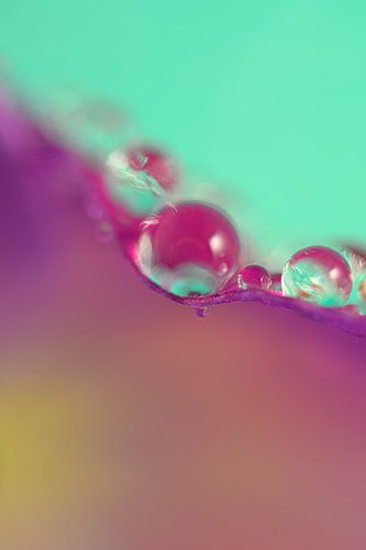 Abstrakte Fotografie: Tropfen am Rand des Blattes von Marjolijn van den Berg