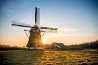 De Zwaluw (Oudemolen)