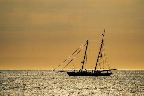Segelschiff auf der Hanse Sail in Rostock