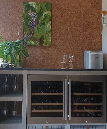 A vine in Tuscany, almost ready for the Chianti