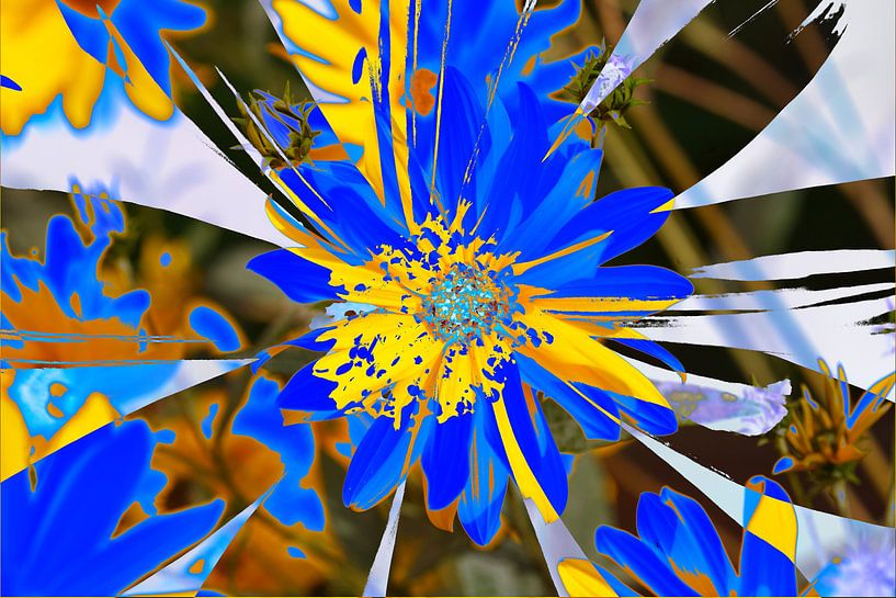 Zonnehoed, bloemen, abstract, (Rudbeckia fulgida) van Torsten Krüger