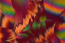 Fluticasone propianate   von André Wieringa