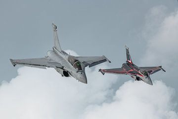 Rafale Solo Display Team 2018. van Jaap van den Berg