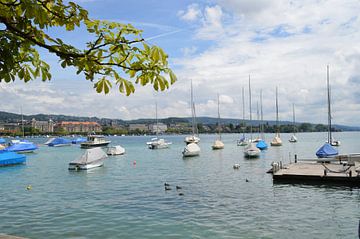 Switzerland, Lake Zurich