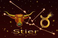 sterrenbeeld - stier van Christine Nöhmeier thumbnail