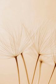 Soft plant threads by Poster Art Shop