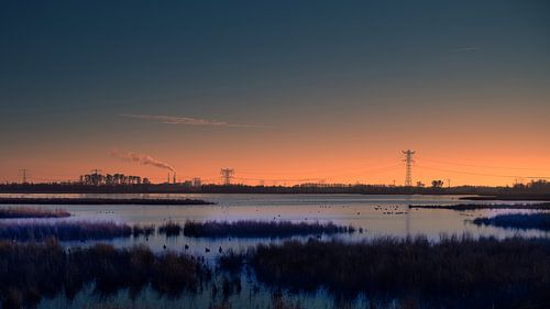 Silent winter dew over the Biesbosch and Amer power station