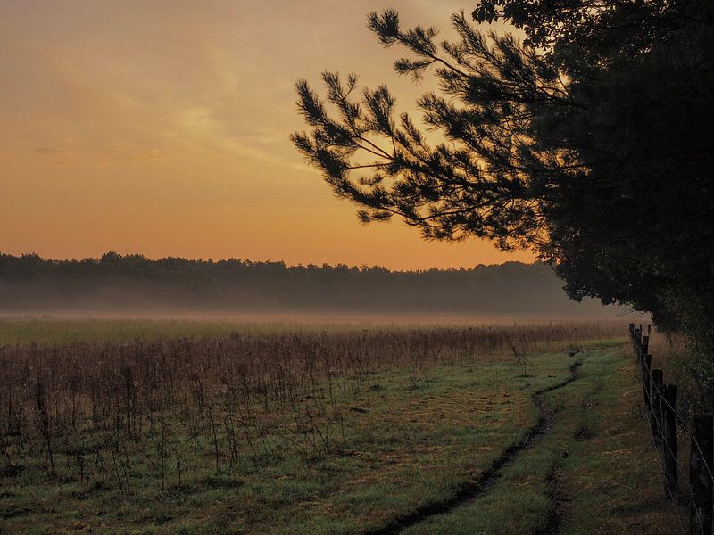 Leudale Morgendämmerung von Wendy Drent