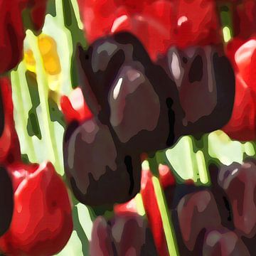 lila Tulpen von appie bonis