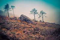 Serra da Estrela Portugal 2