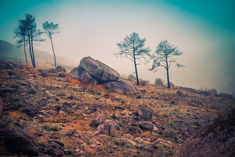 Serra da Estrela Portugal 2 par Elles Vennix