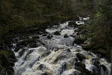 A flowing stream with rocks in Scotland by Sylvia Photography
