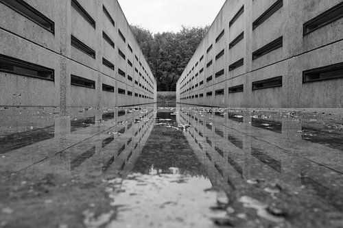 The Delta work// Waterloopbos, Marknesse