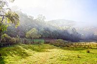 Rural image with mist and light in the Vosges Mountains