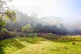 Image rurale avec brume et lumière dans les Vosges sur Jos van den Berg