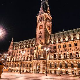 L'hôtel de ville de Hambourg la nuit sur UniQaps
