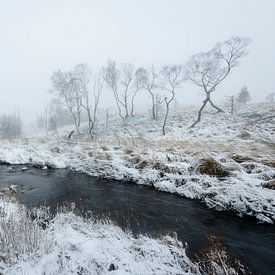 Rivier in sneeuwlandschap van Michel Lucas