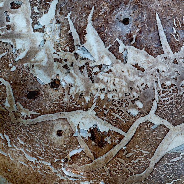 Forest abstraction by Eugene Winthagen