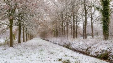 Landgut Nienoord im Schnee bei De Bult