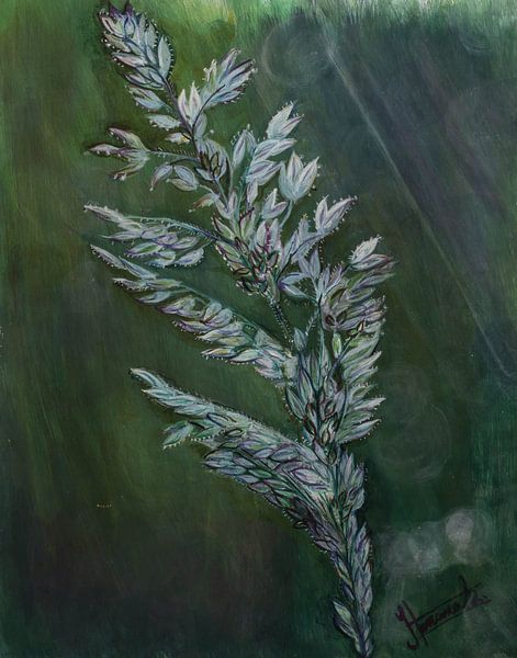 Wilde veldbloemen van Henk Goossens
