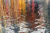 Red-yellow reflection in Amsterdam canal with willow branches