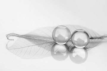 Spiegelungen (Spiegelung von 2 Kugeln und einem Blatt in schwarz-weiß) von Birgitte Bergman