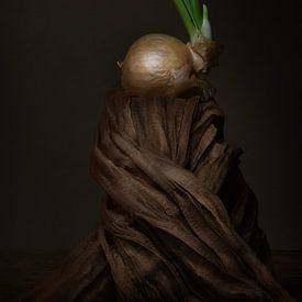 Modern still life onion with look by Silvia Thiel