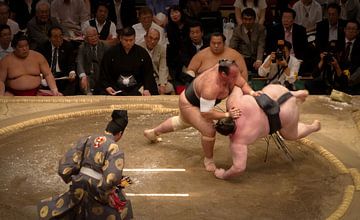 Sumo fight van BL Photography