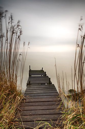 Evening by the Markermeer