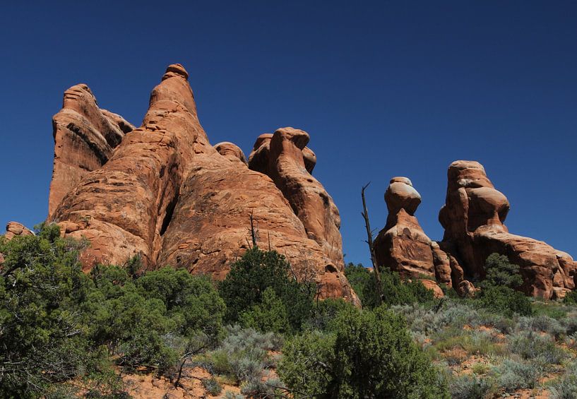 Arches National Park by Renate Knapp