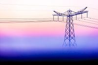 Electric