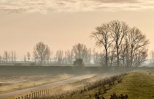 Winterochtend