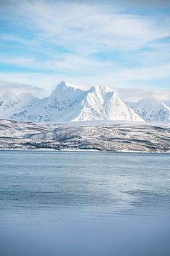 winterlicher Blick auf die Lyngen Alps von Leo Schindzielorz