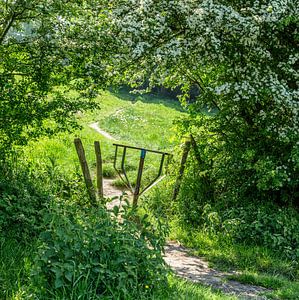 Versteckter Gehweg in Süd-Limburg