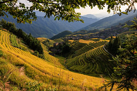Framed View of Longji