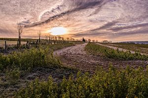 Sonnenaufgang in einem winterlichen Hügelland