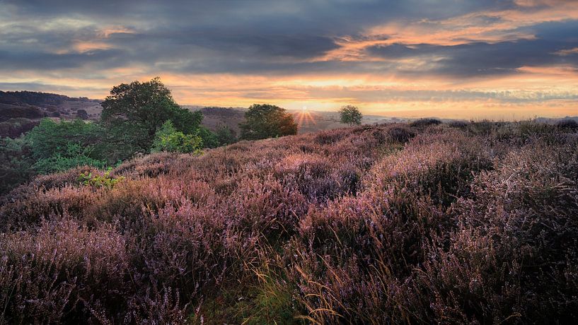 Zonsopgang boven de paarse heide van de Posbank van Fotografiecor .nl