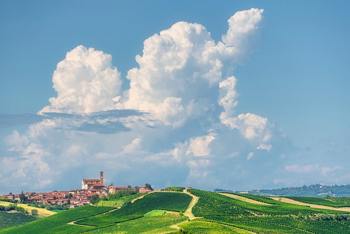 Grana Monferrato Village Vineyards and Cumulonimbus Cloud