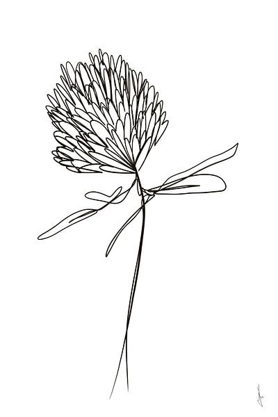 Clover, one-line drawing, digital by AnkieArt