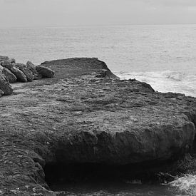 Coast of Torrevieja by Johannes Truyen