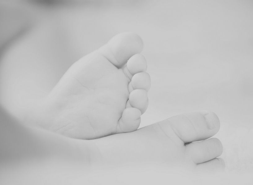 Baby voetjes van Incanto Images