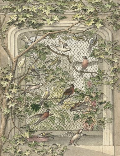 Volière met veertien vogels, Aert Schouman