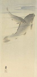 Carpes de Ohara Koson