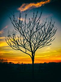 Zonsondergang sur Ronald De Neve