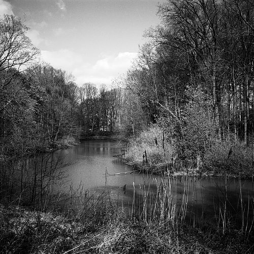zijarm van de Overijsselse Vecht in Ommen van Pieter Muller