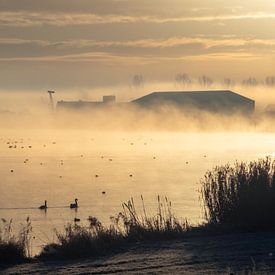 Morgennebel im Winter von Wouter Bos