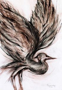 Vue à vol d'oiseau . Oiseaux ( 11 )