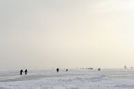 Skaters and ice sailors on the Gouwzee by Merijn van der Vliet thumbnail