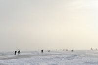 Schaatsers en ijszeilers op de Gouwzee
